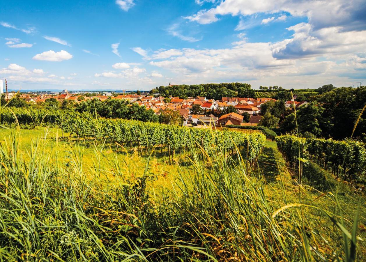 Gaestehaus Steinmuehle Osthofen Buitenkant foto