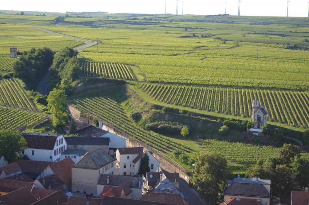 Gaestehaus Steinmuehle Osthofen Buitenkant foto
